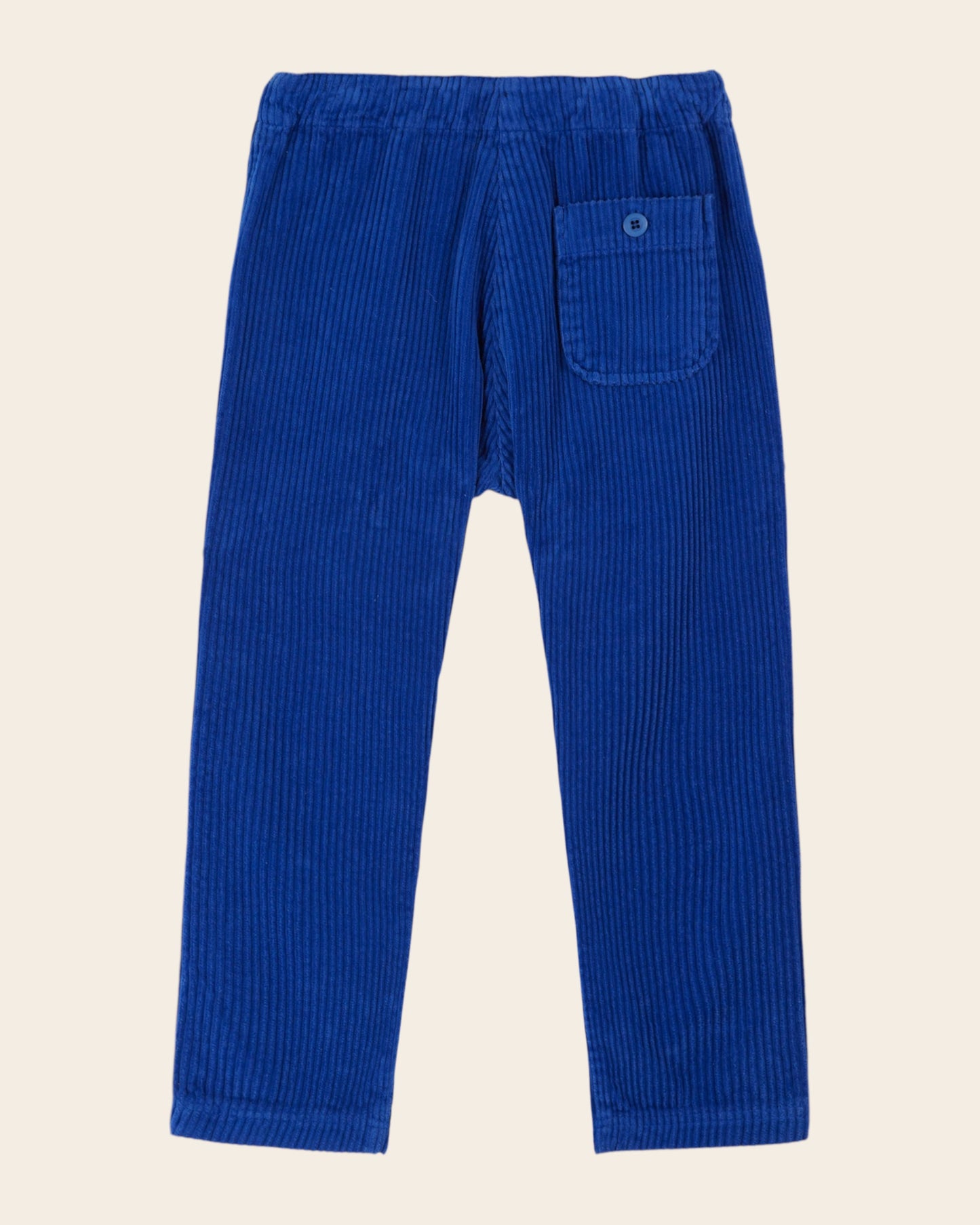 Pantalon velours bleu royal