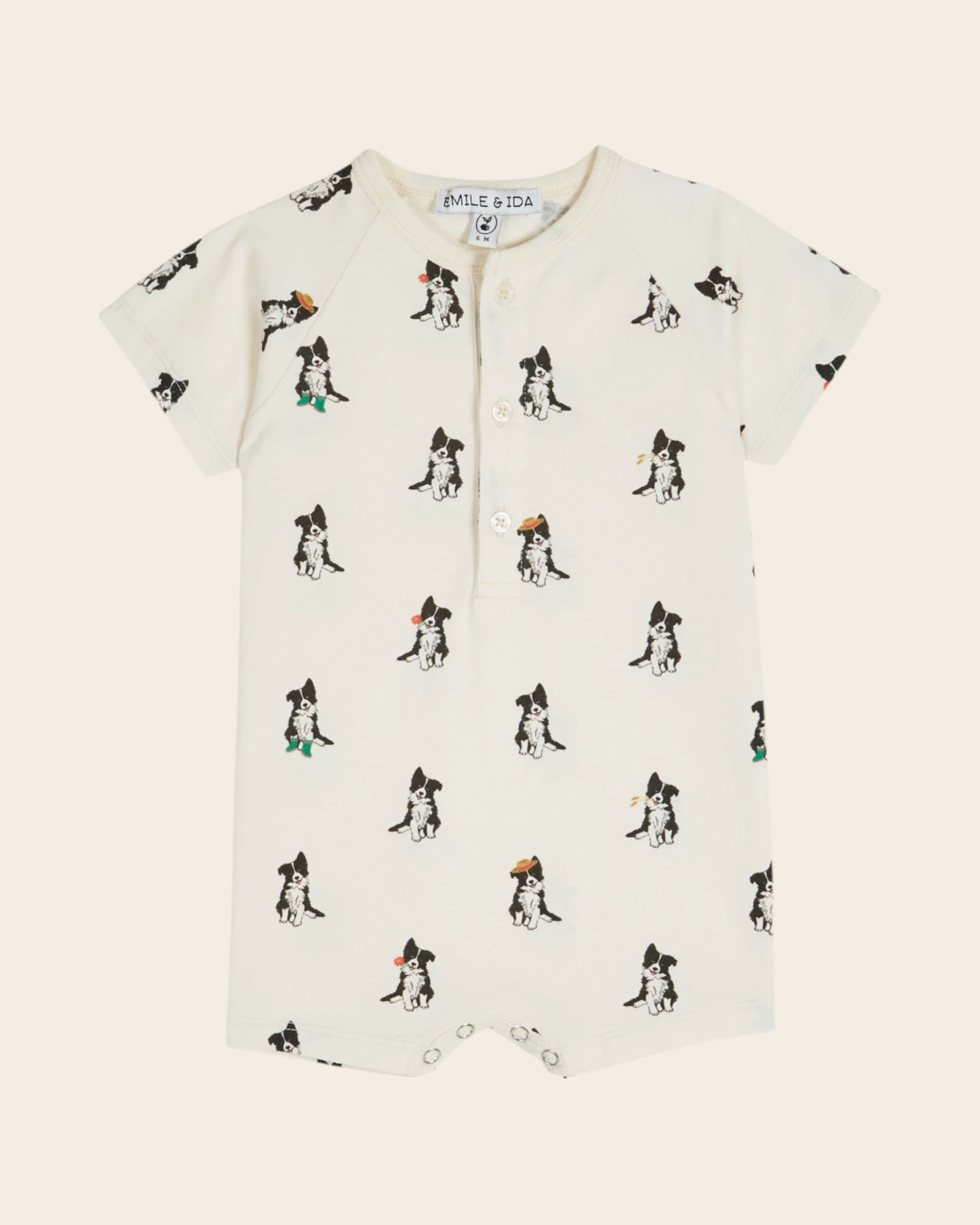 Combibloomer - Border collie crème