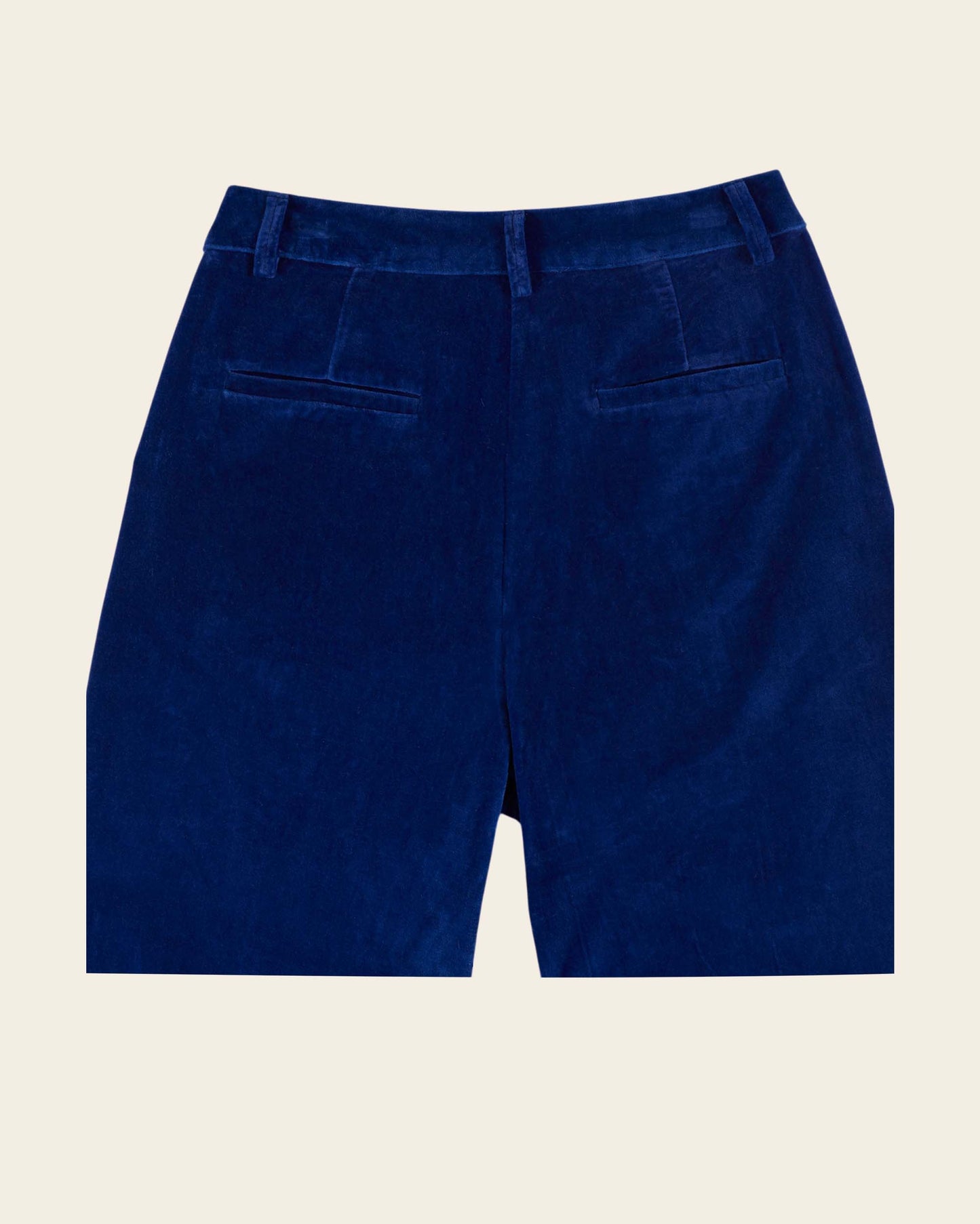 Pantalon - Velours bleu royal