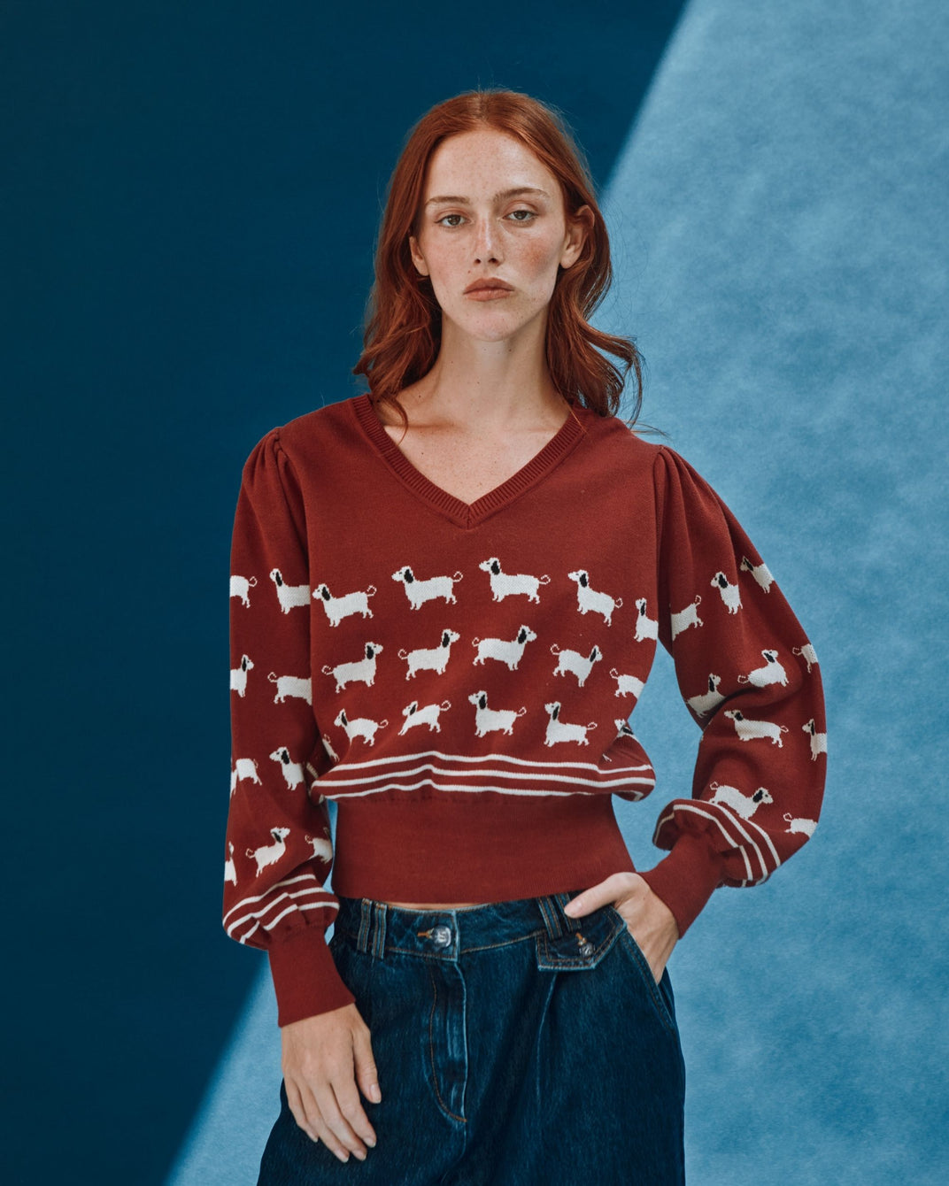 brick dog sweater