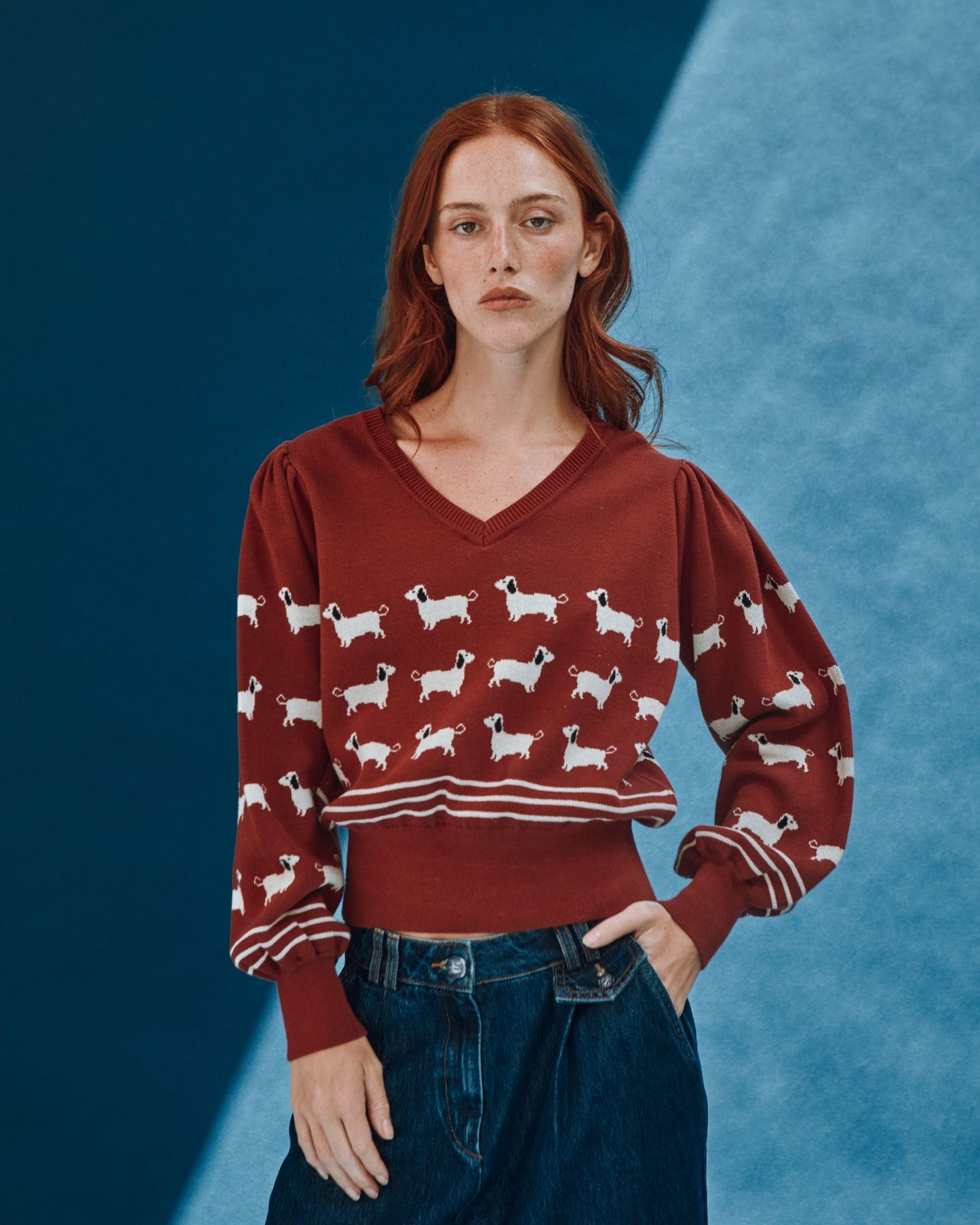 brick dog sweater