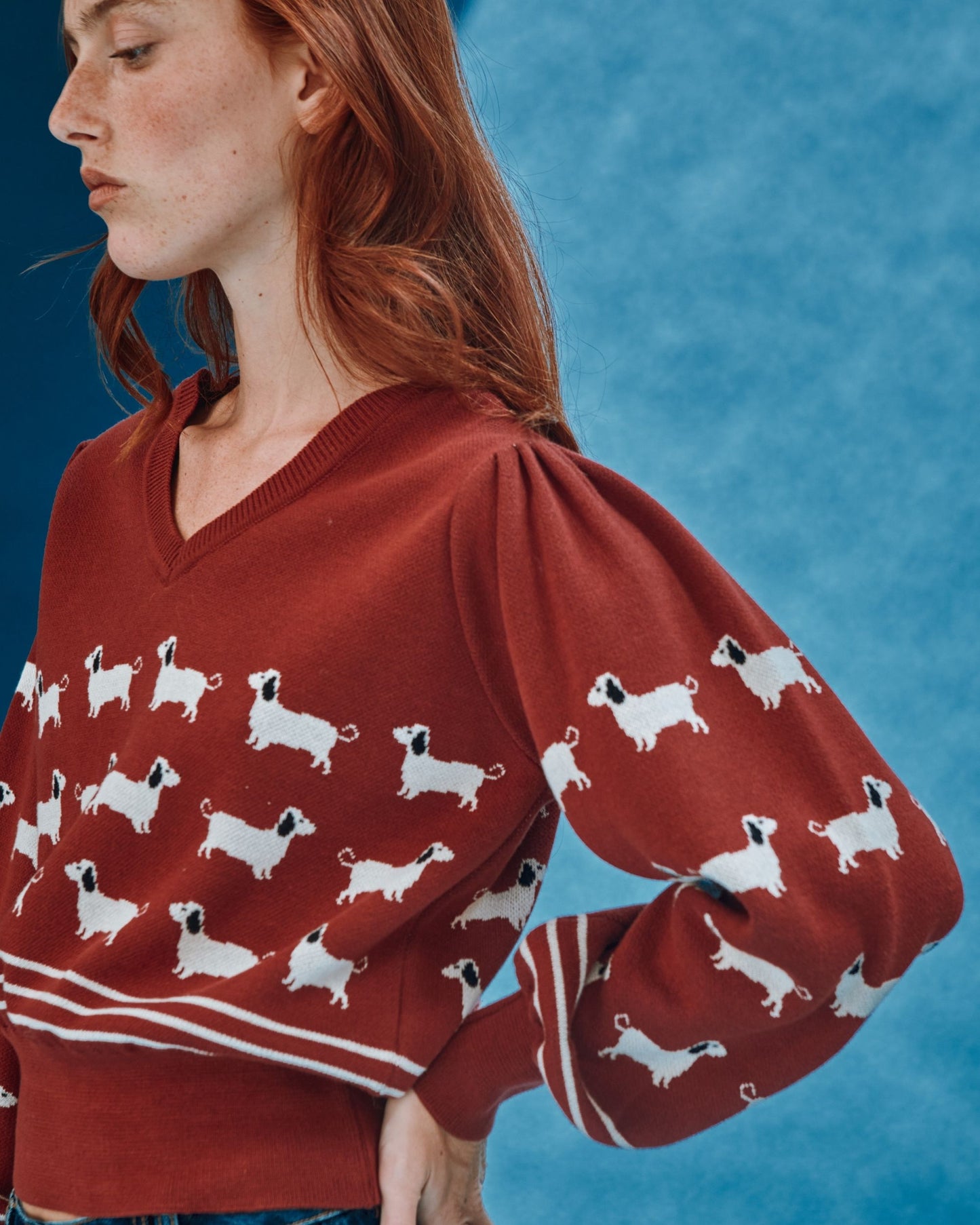 brick dog sweater