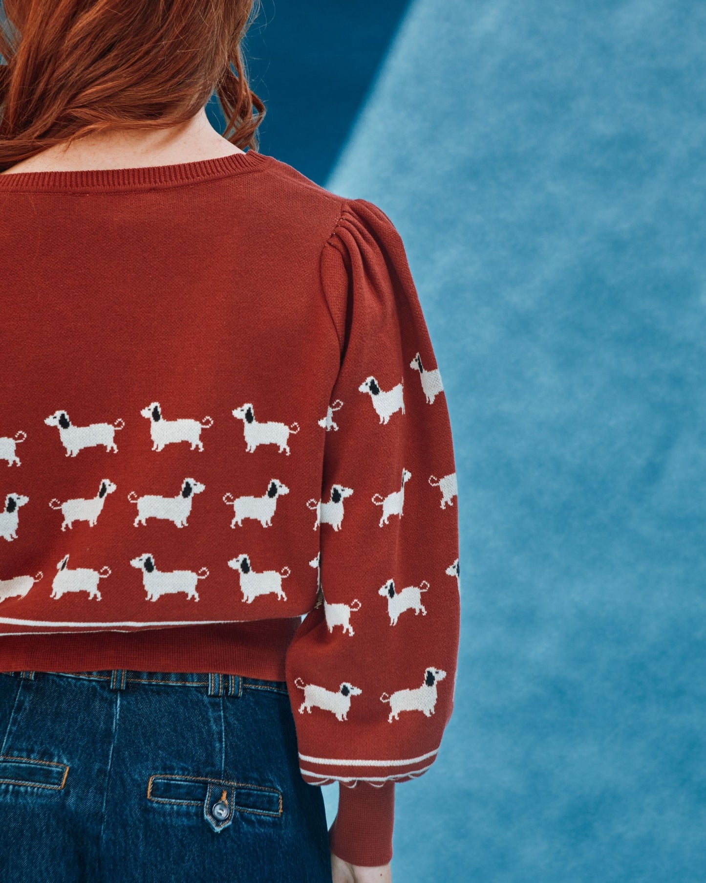 brick dog sweater