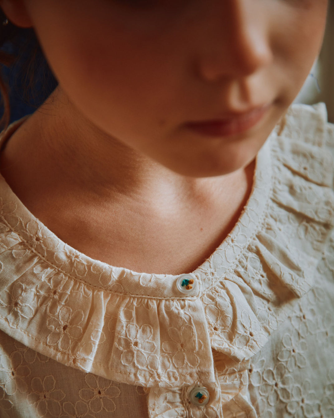 Chantilly English embroidery blouse