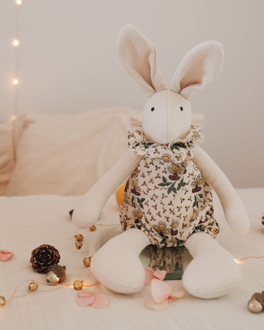 Lapine PAMPLEMOUSSE x EMILE ET IDA