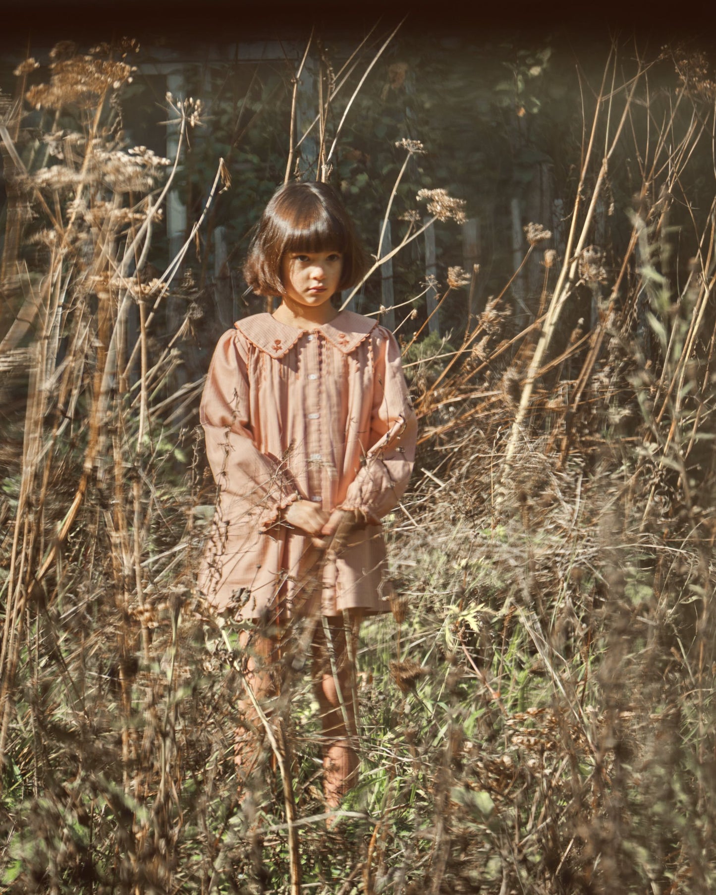 Robe vintage brodée poudre