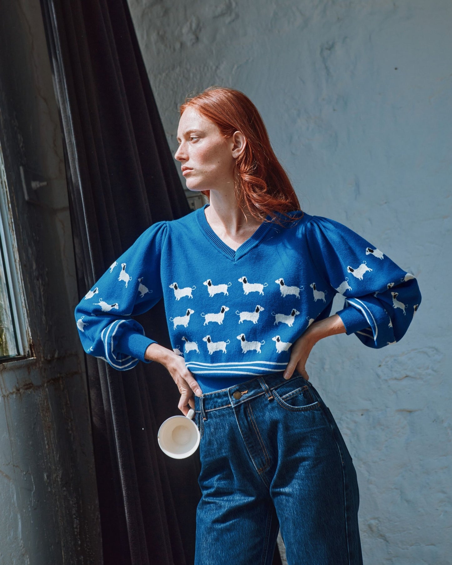 royal dog sweater