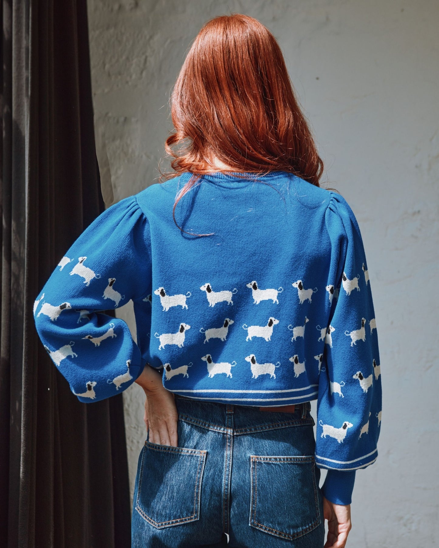 royal dog sweater