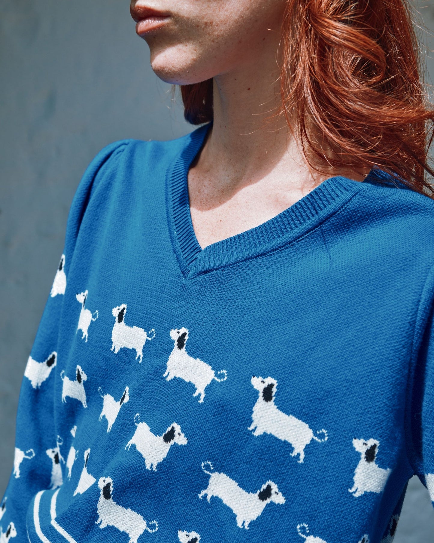 royal dog sweater