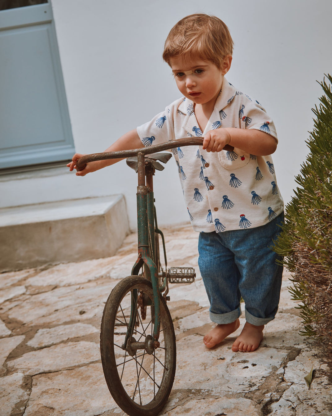 Chemise éponge octopus bleu
