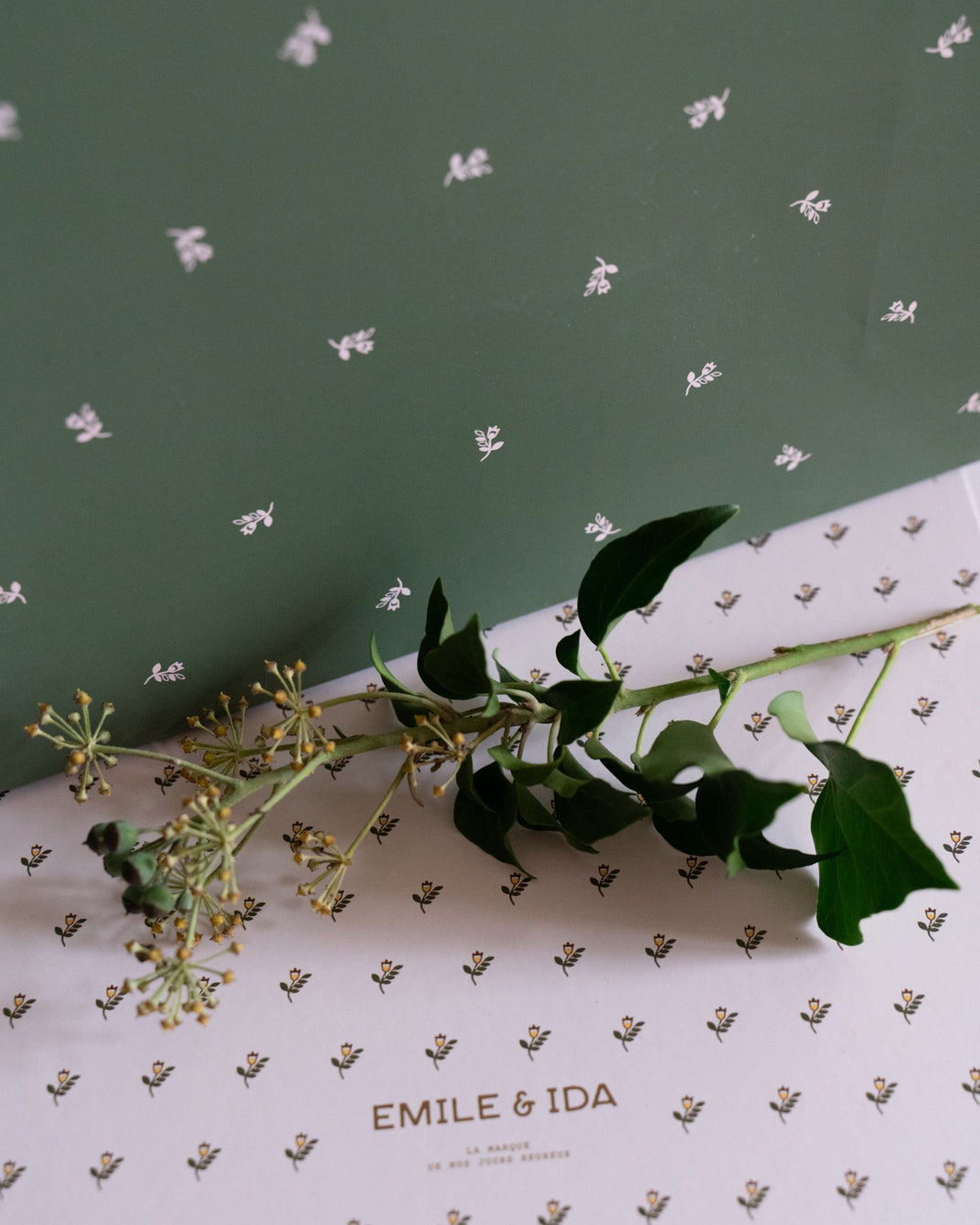 Pochette cadeau jonquille vert