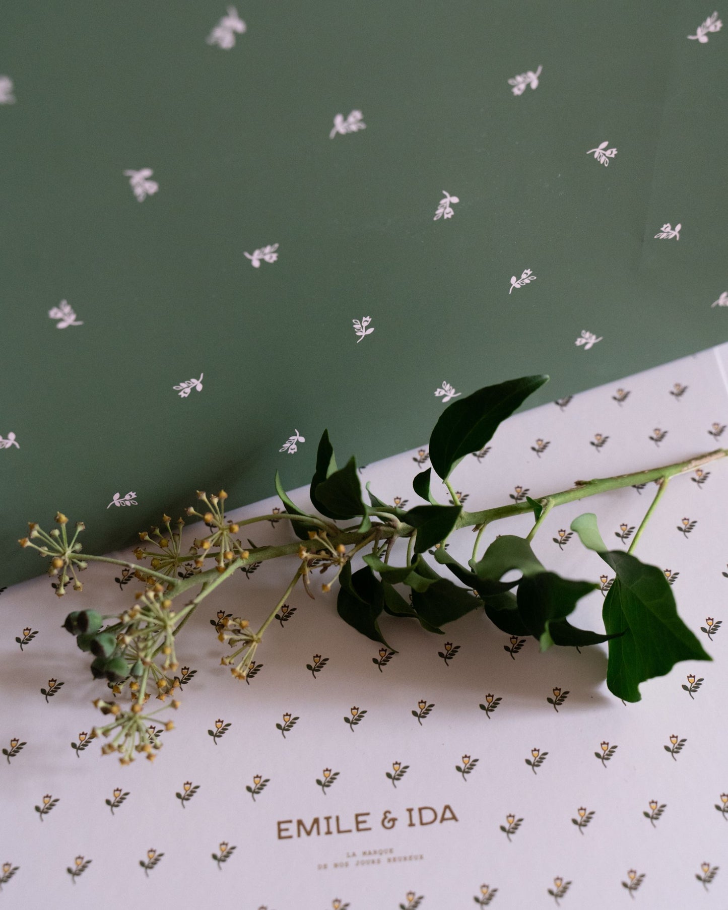 Pochette cadeau jonquille vert