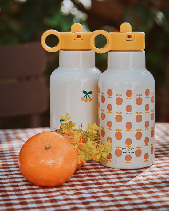 emile et ida Gourde isotherme pomme