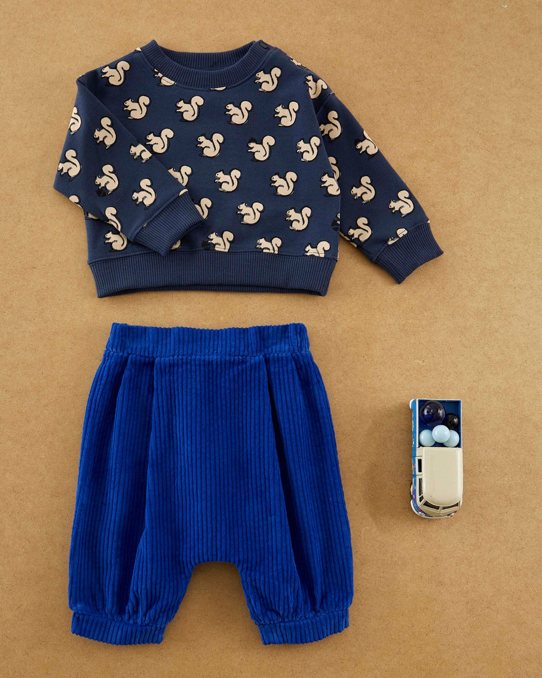midnight squirrel ao printed sweatshirt