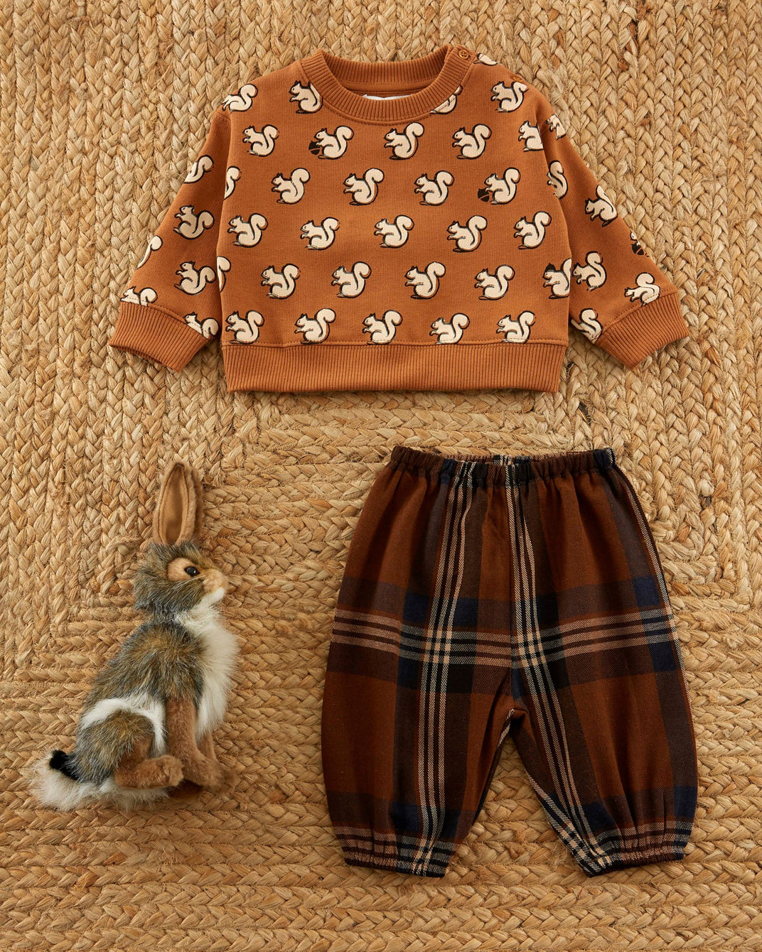 sweatshirt printed with ao squirrel pecan