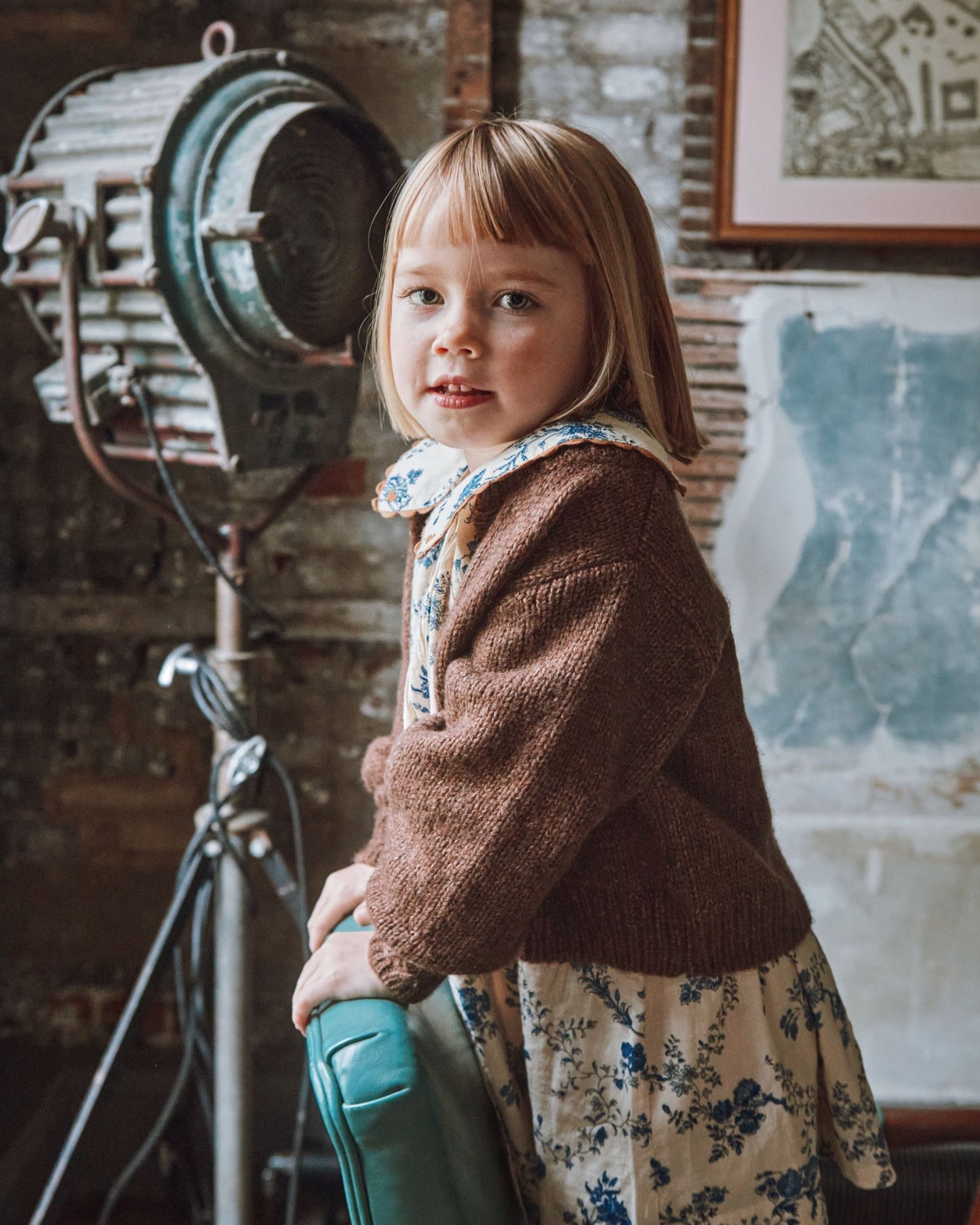 Cardigan ultra doux châtaigne