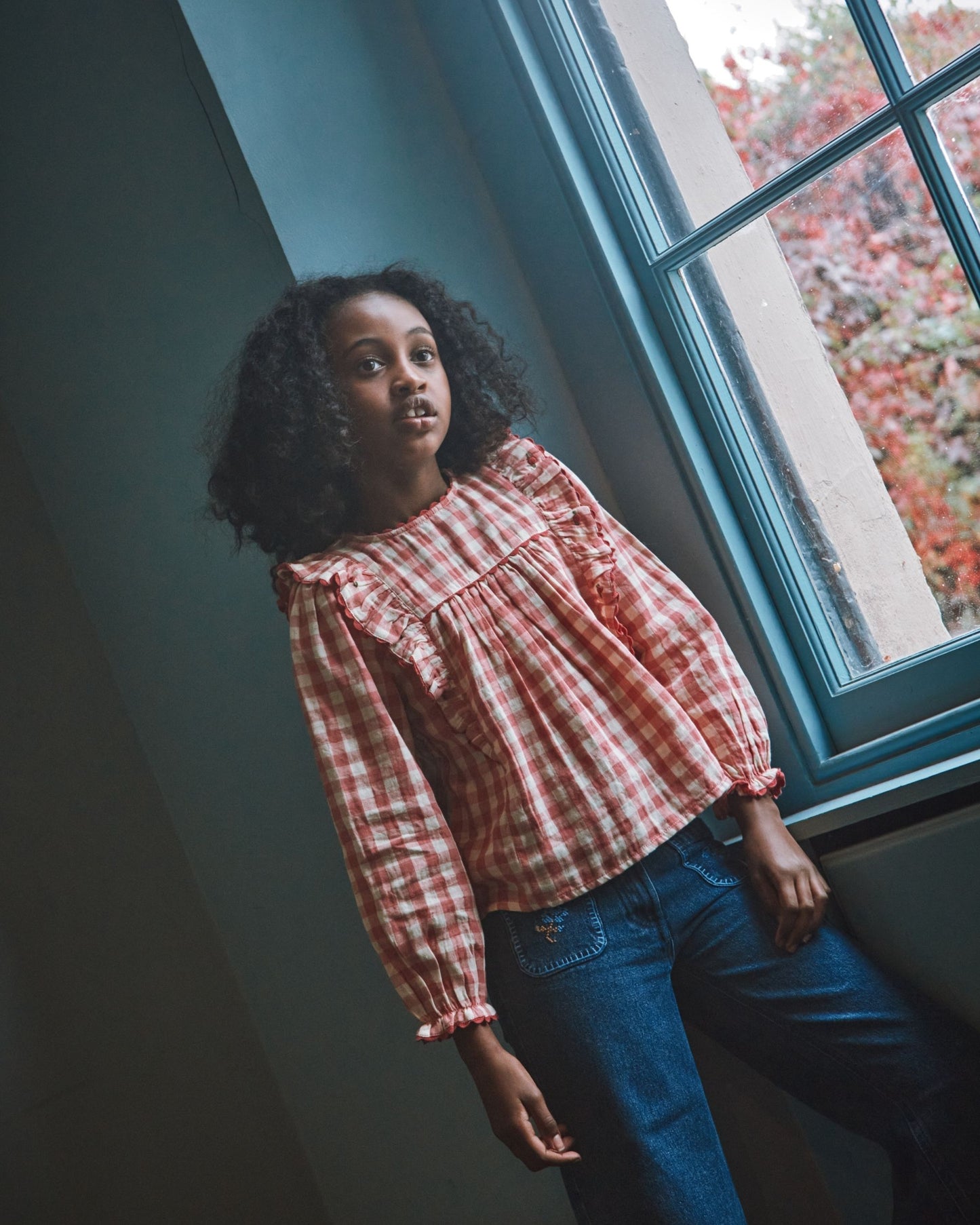 gingham ruffled gingham blouse