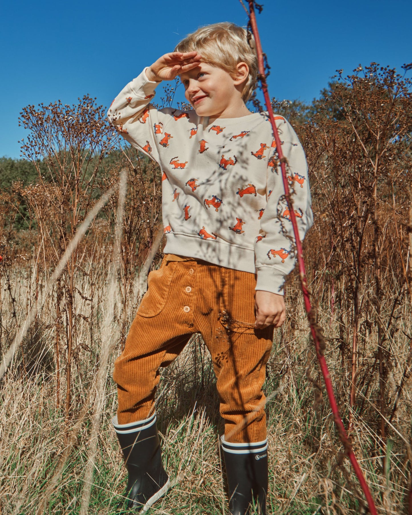 Sweat coton bio chien skateur gris