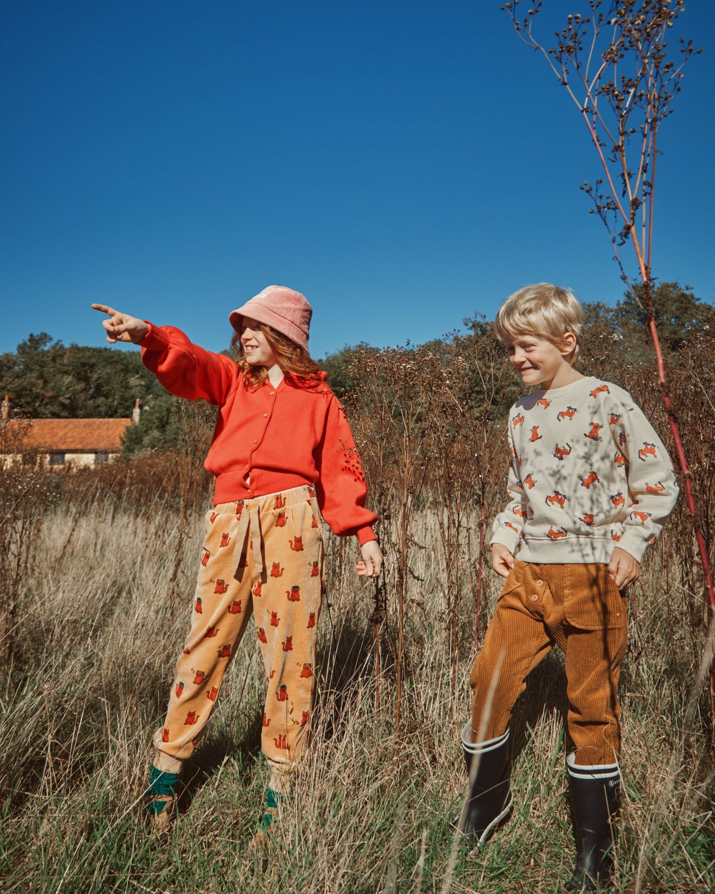 Sweat coton bio chien skateur gris