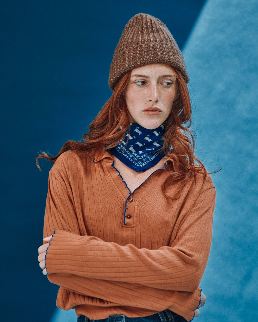 Foulard teckels bleu 50 x 50 cm