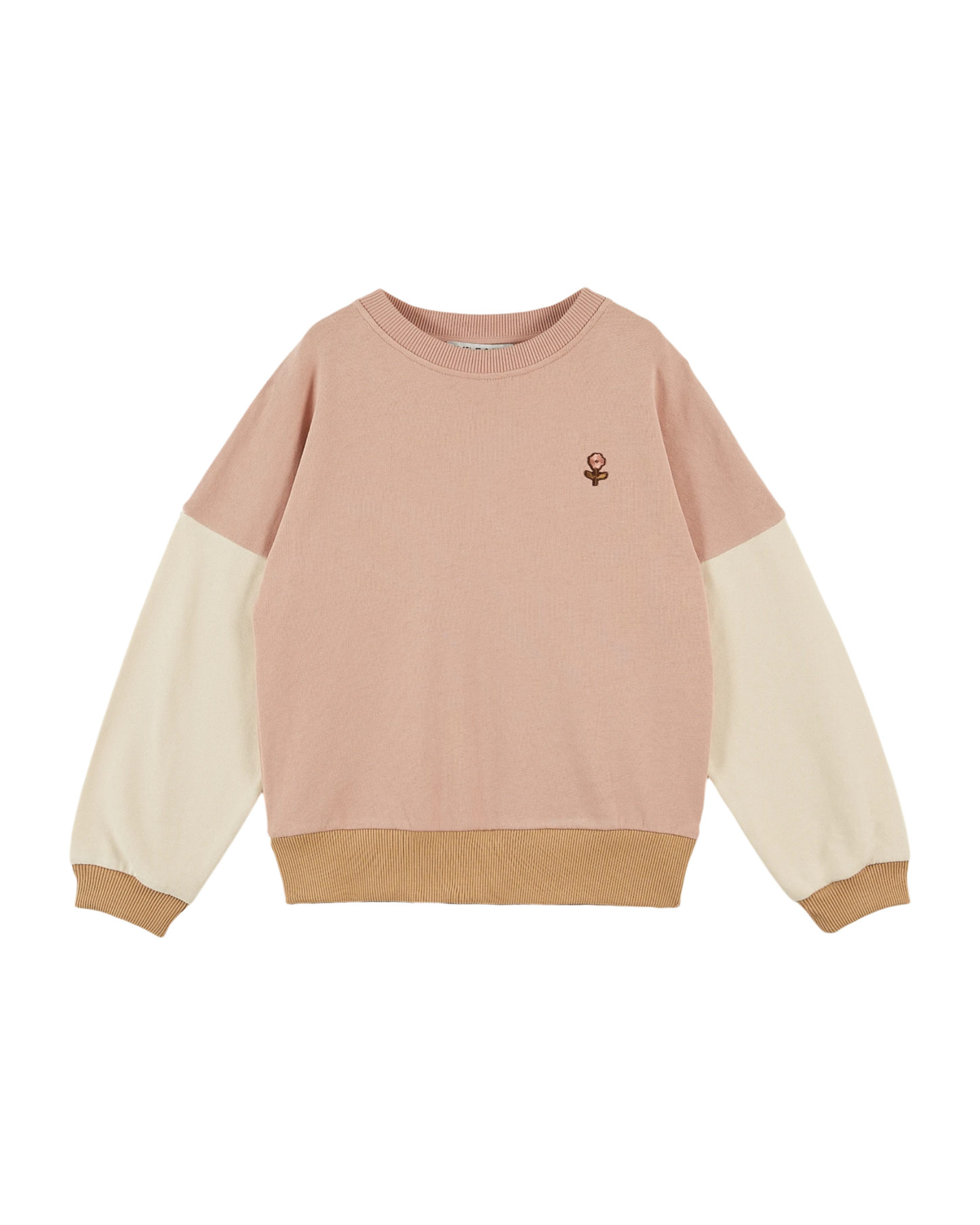 Sweat coton bio team tricolore poudre