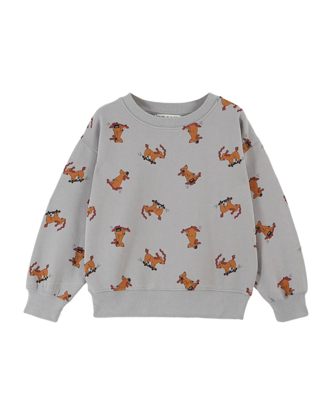 Sweat coton bio chien skateur gris