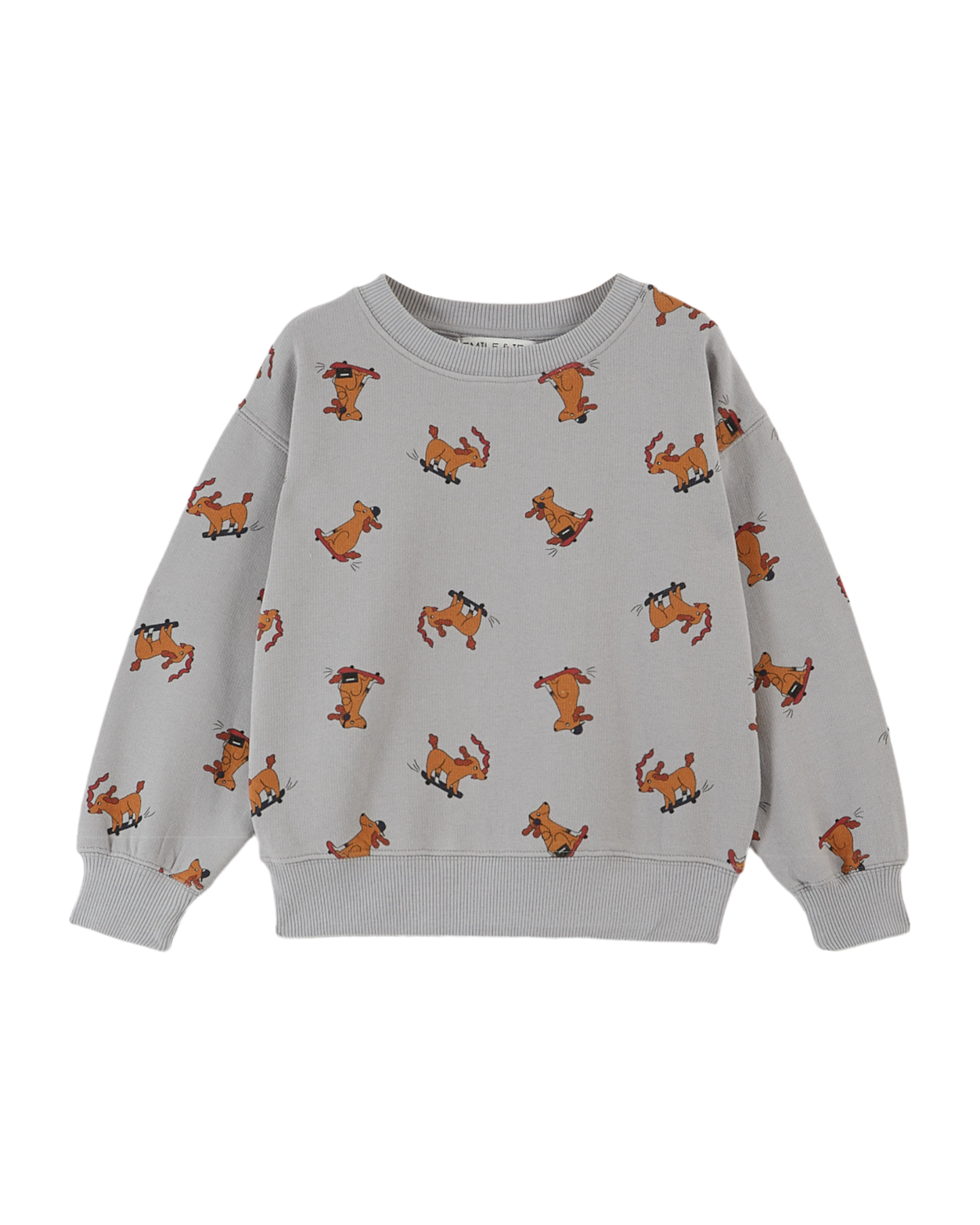 Sweat coton bio chien skateur gris