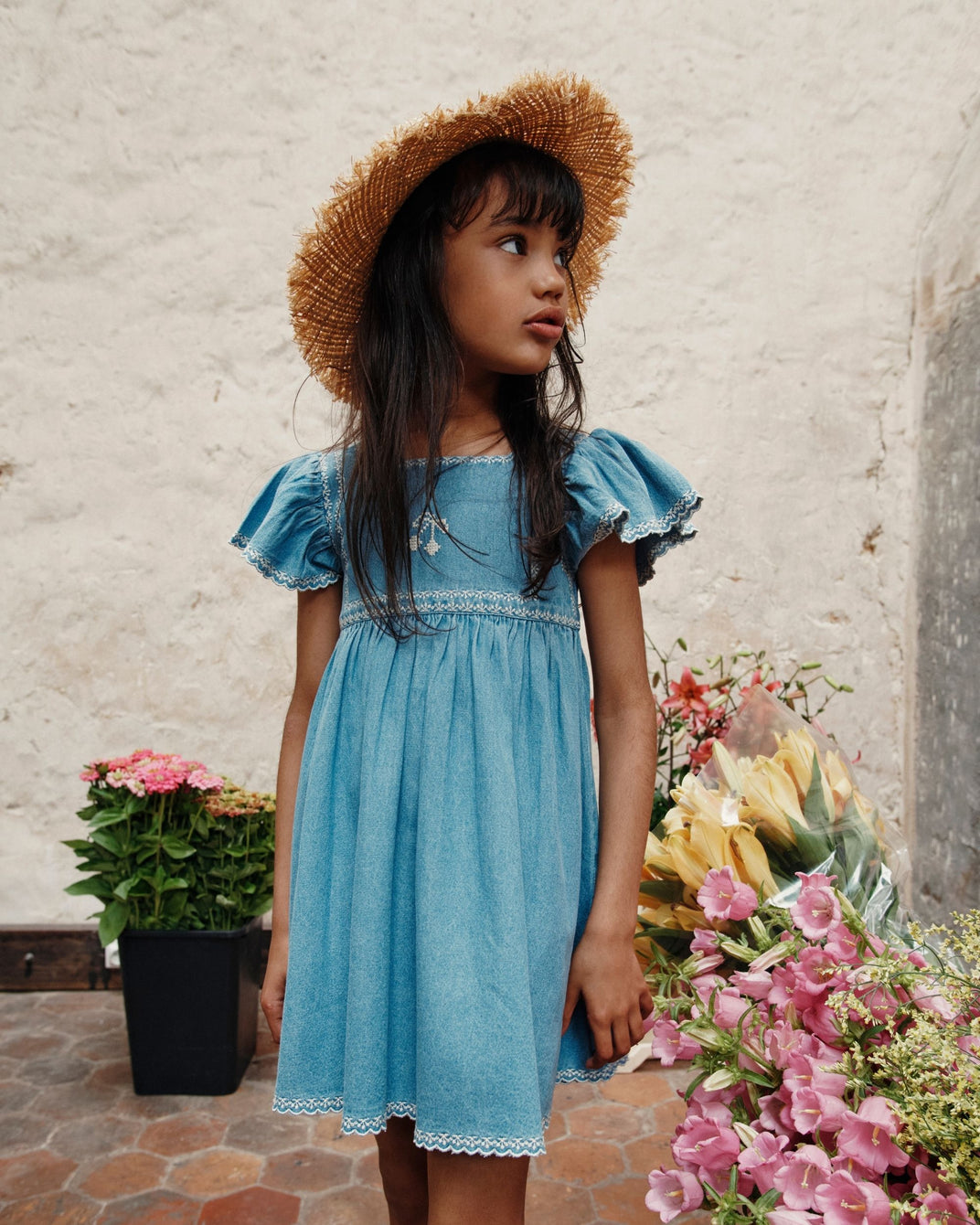 Denim embroidered dress