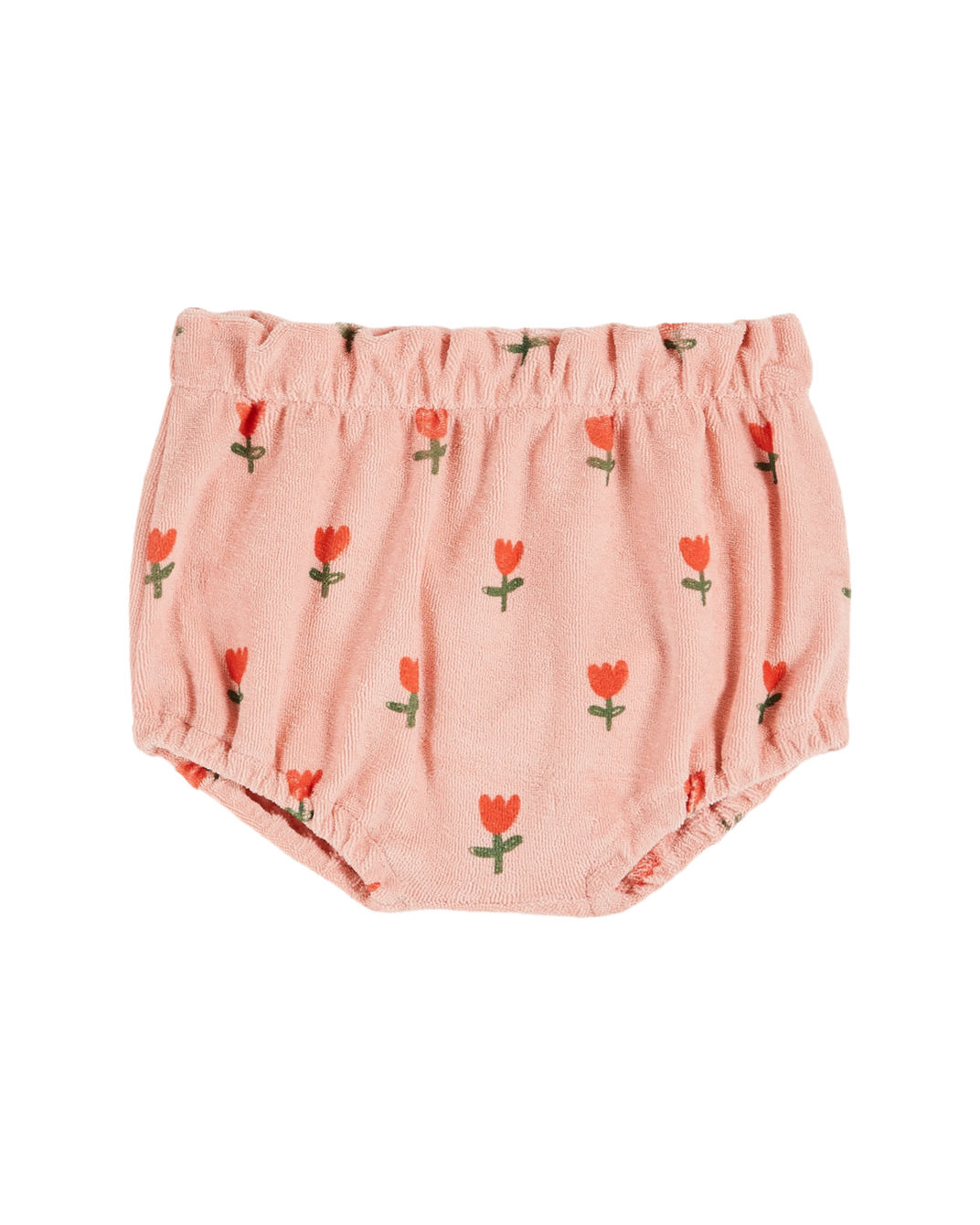 Bloomer sponge tulips blossom