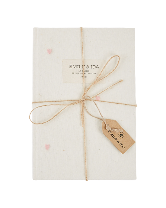 emile et ida Cahier coeur pastel