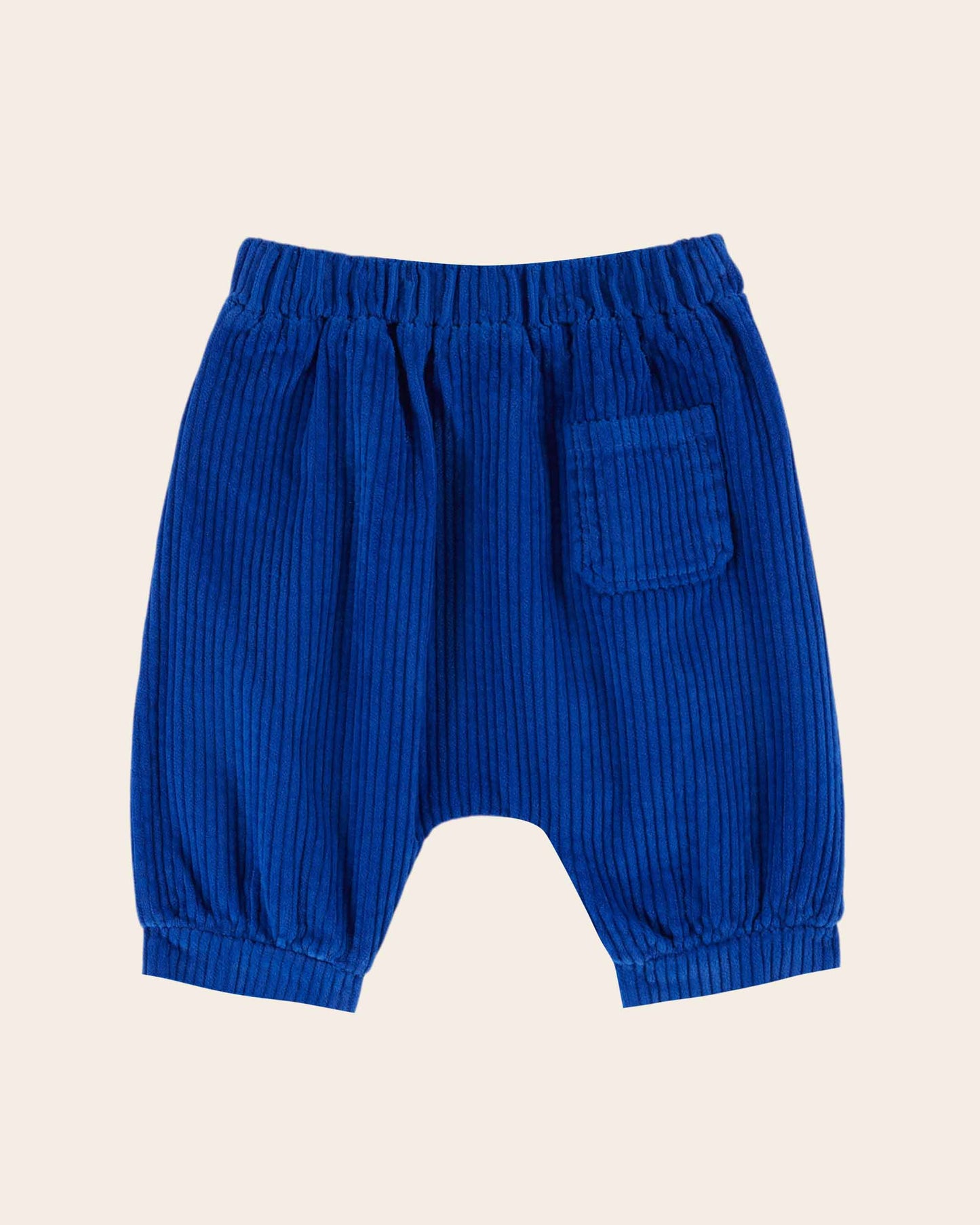 Sarouel velours cotelé bleu royal