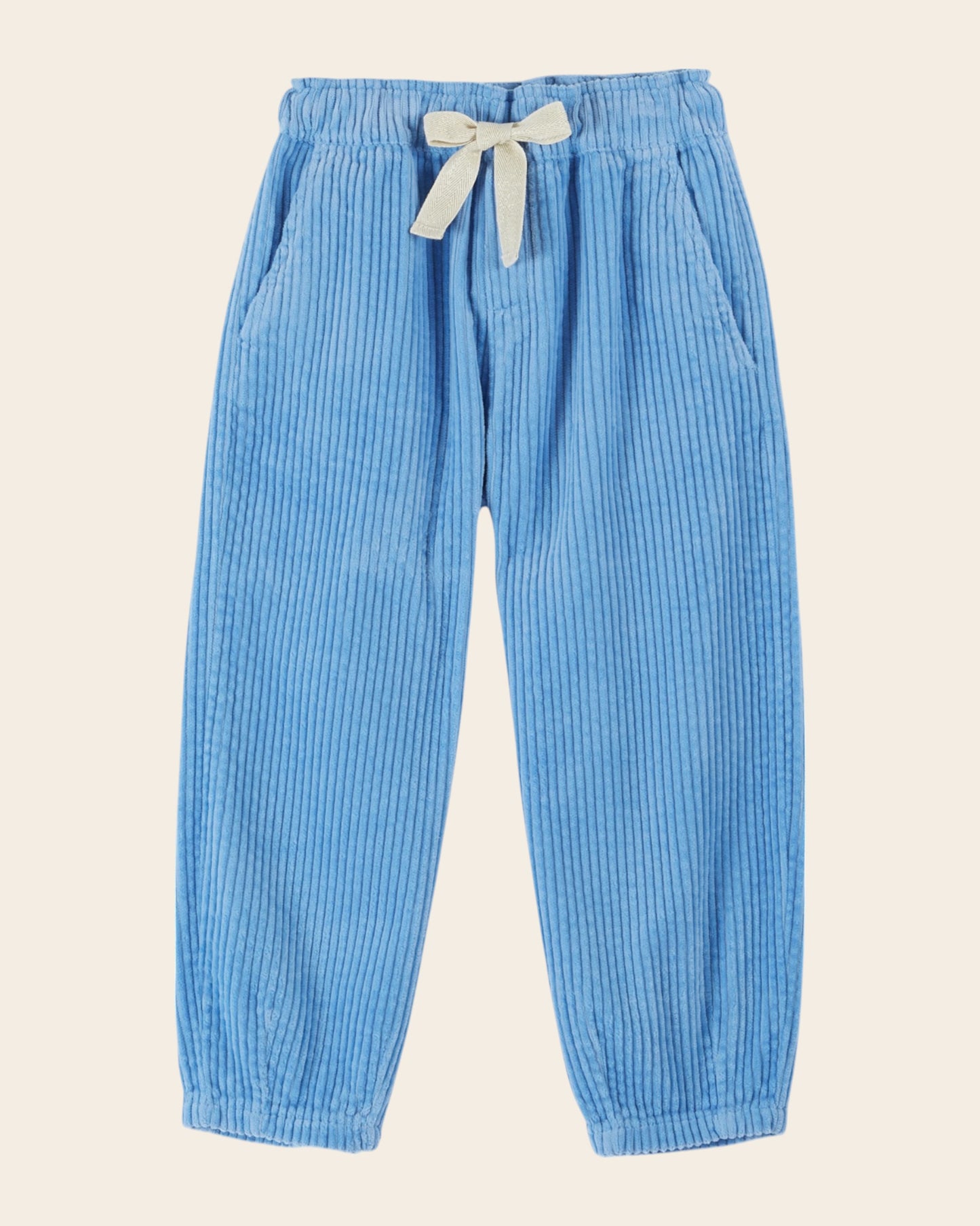 ice floe velvet pants