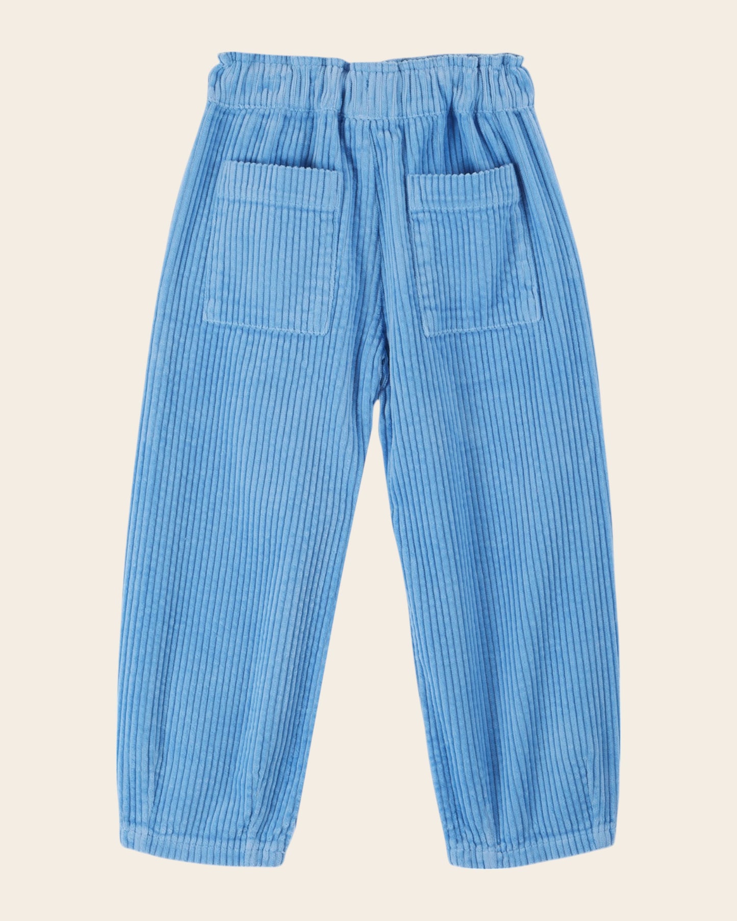ice floe velvet pants