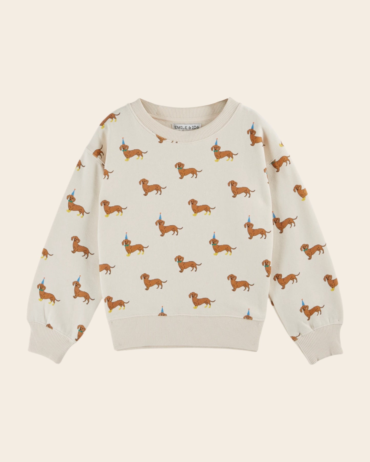 sweatshirt with all-over dachshund dog print