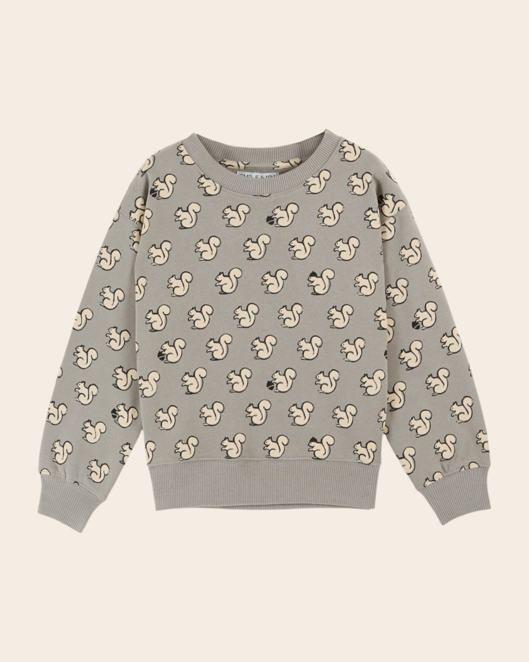 light gray ao squirrel printed sweatshirt