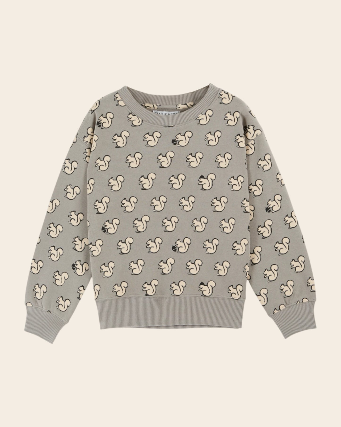 light gray ao squirrel printed sweatshirt