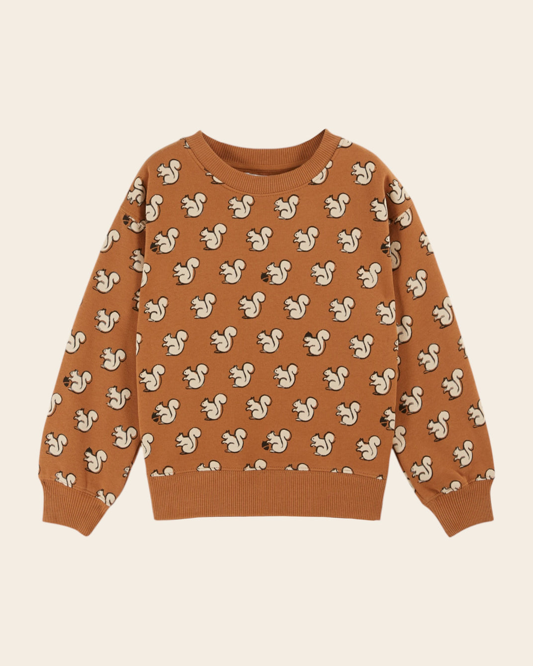 sweatshirt printed with ao squirrel pecan