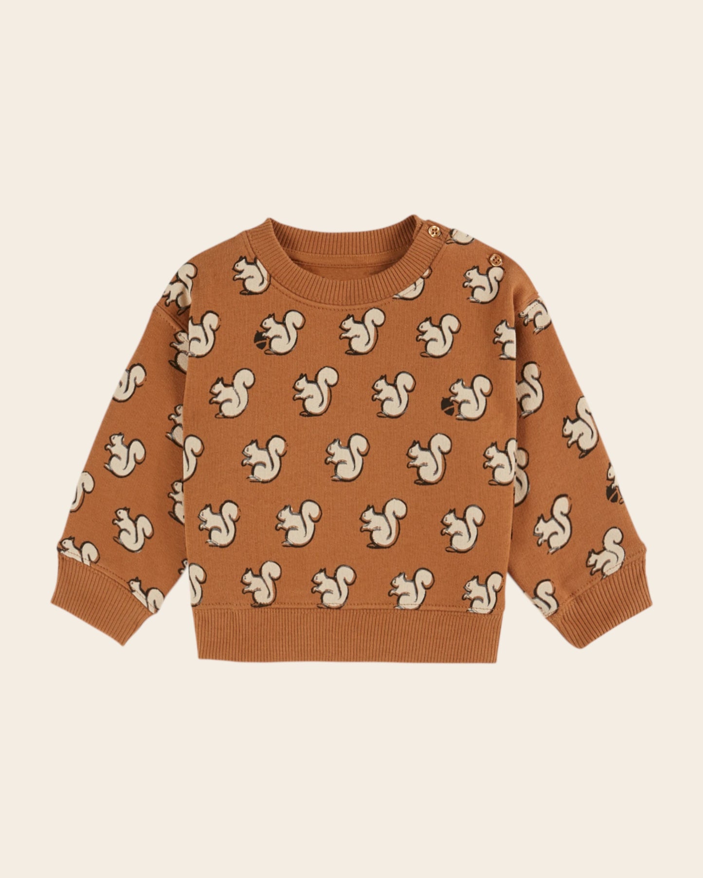 sweatshirt printed with ao squirrel pecan