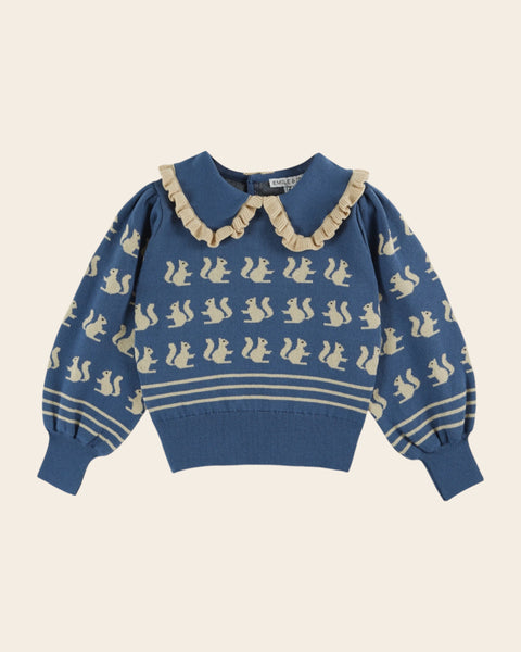 blue squirrel sweater