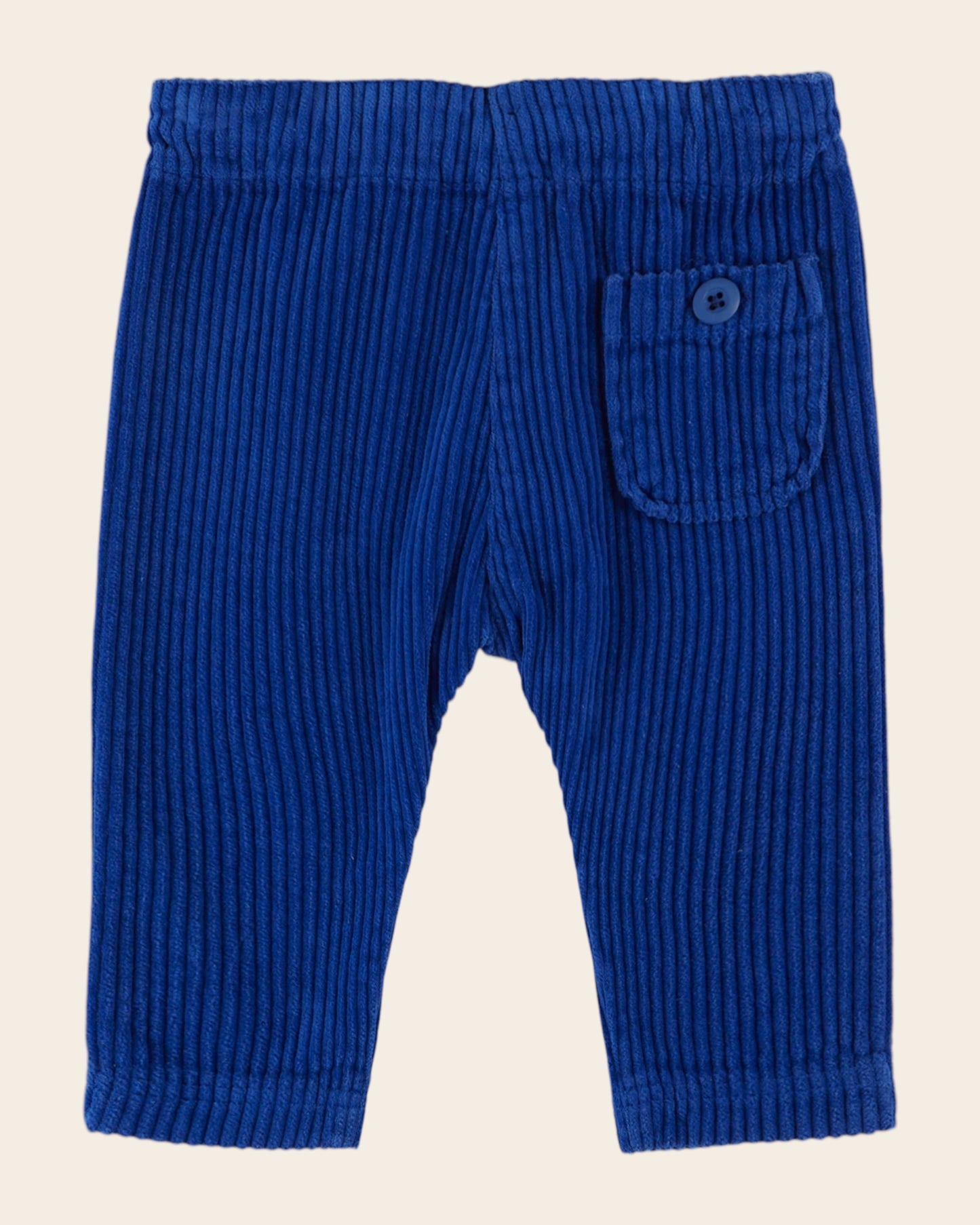 royal boy's velvet pants
