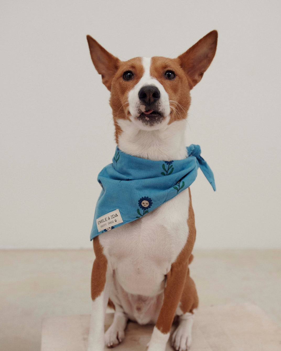 Bandana chien marguerite bleu