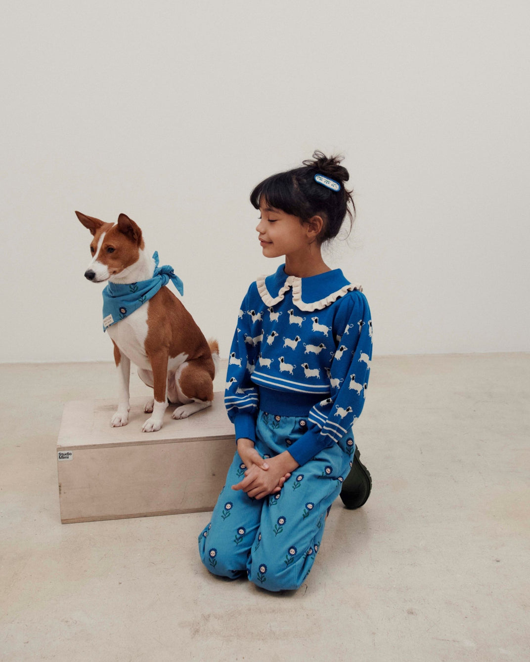 Bandana chien marguerite bleu