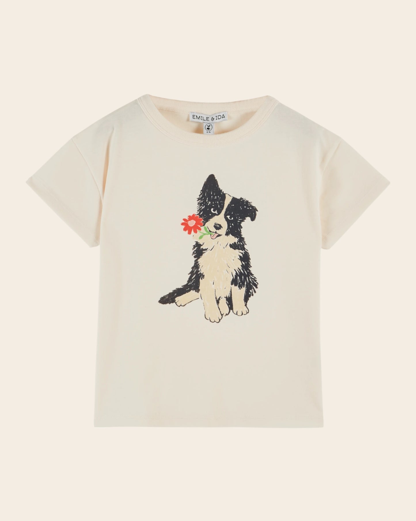 T-shirt - Border collie crème