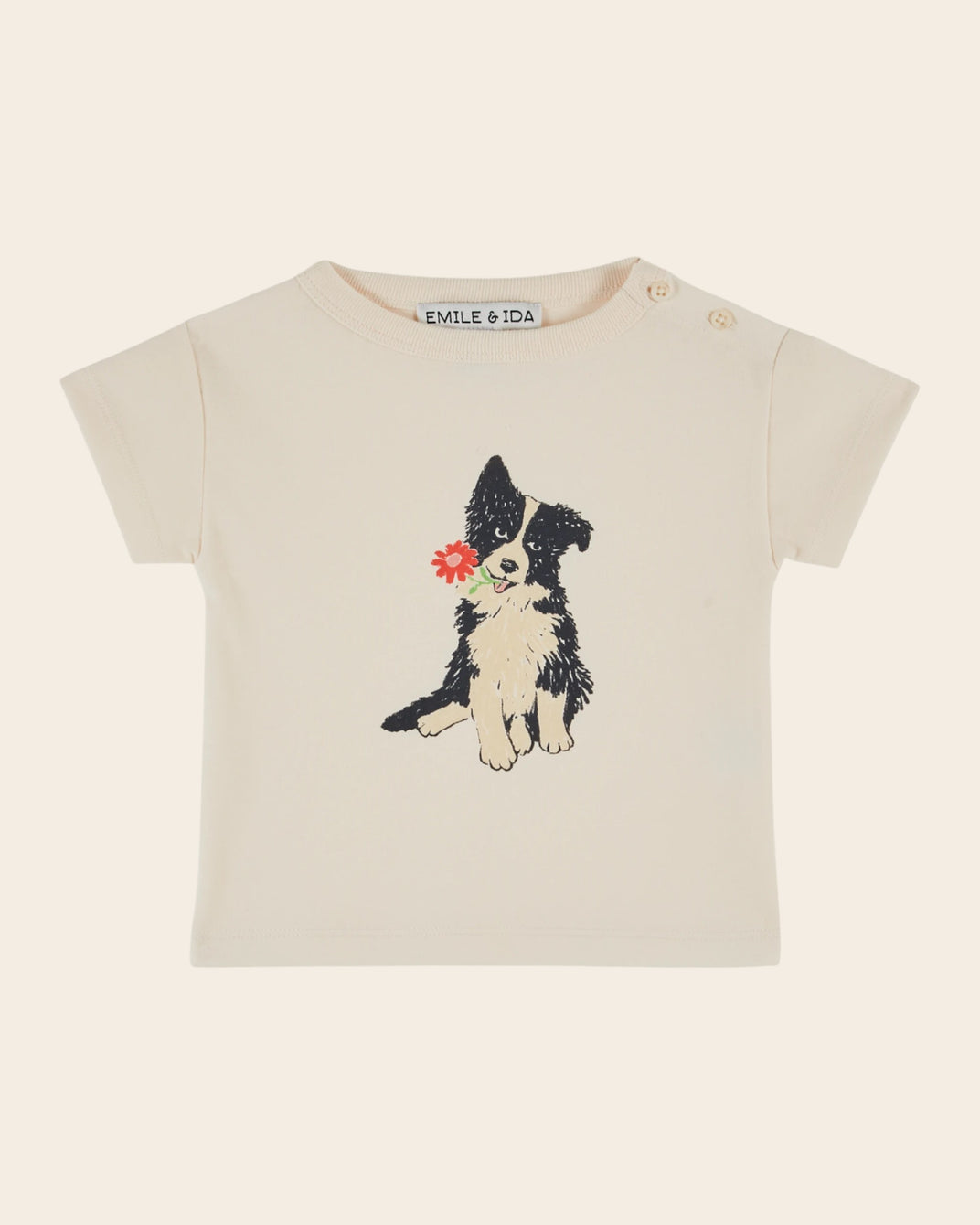 T-shirt - Border collie crème