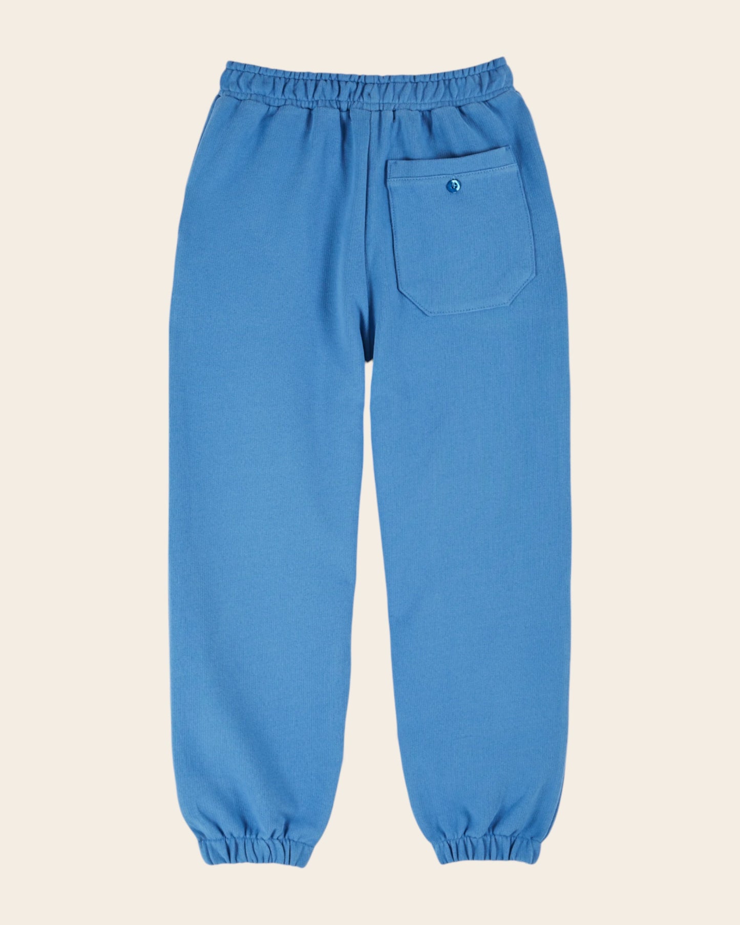 Jogger - Pommes bleu