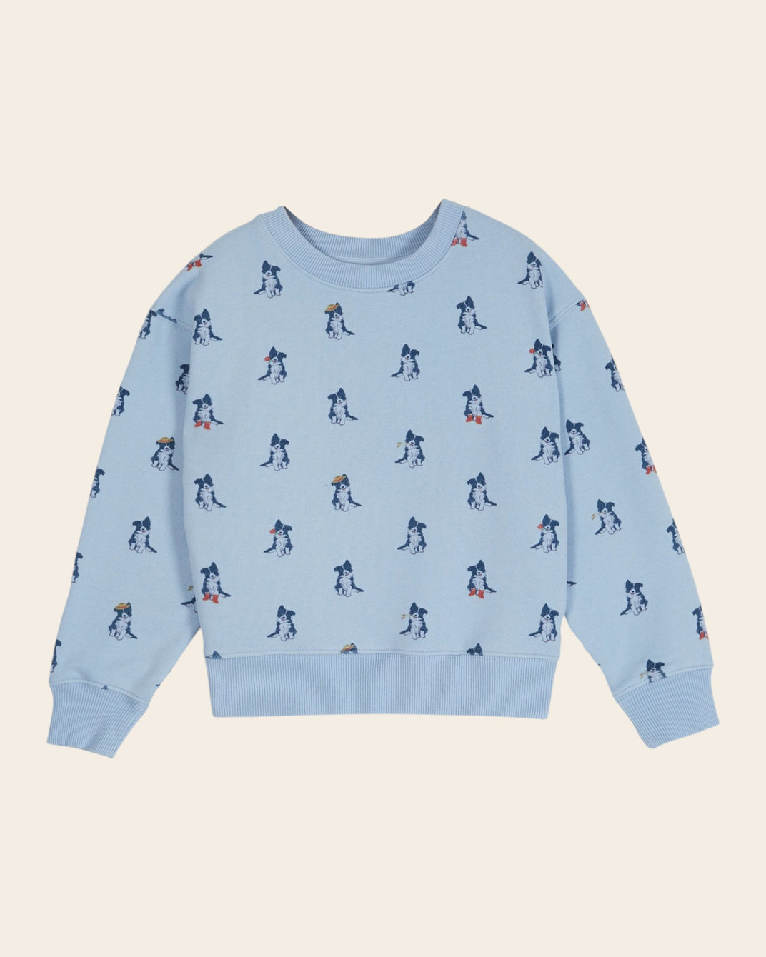 Sweat - Border collie ciel