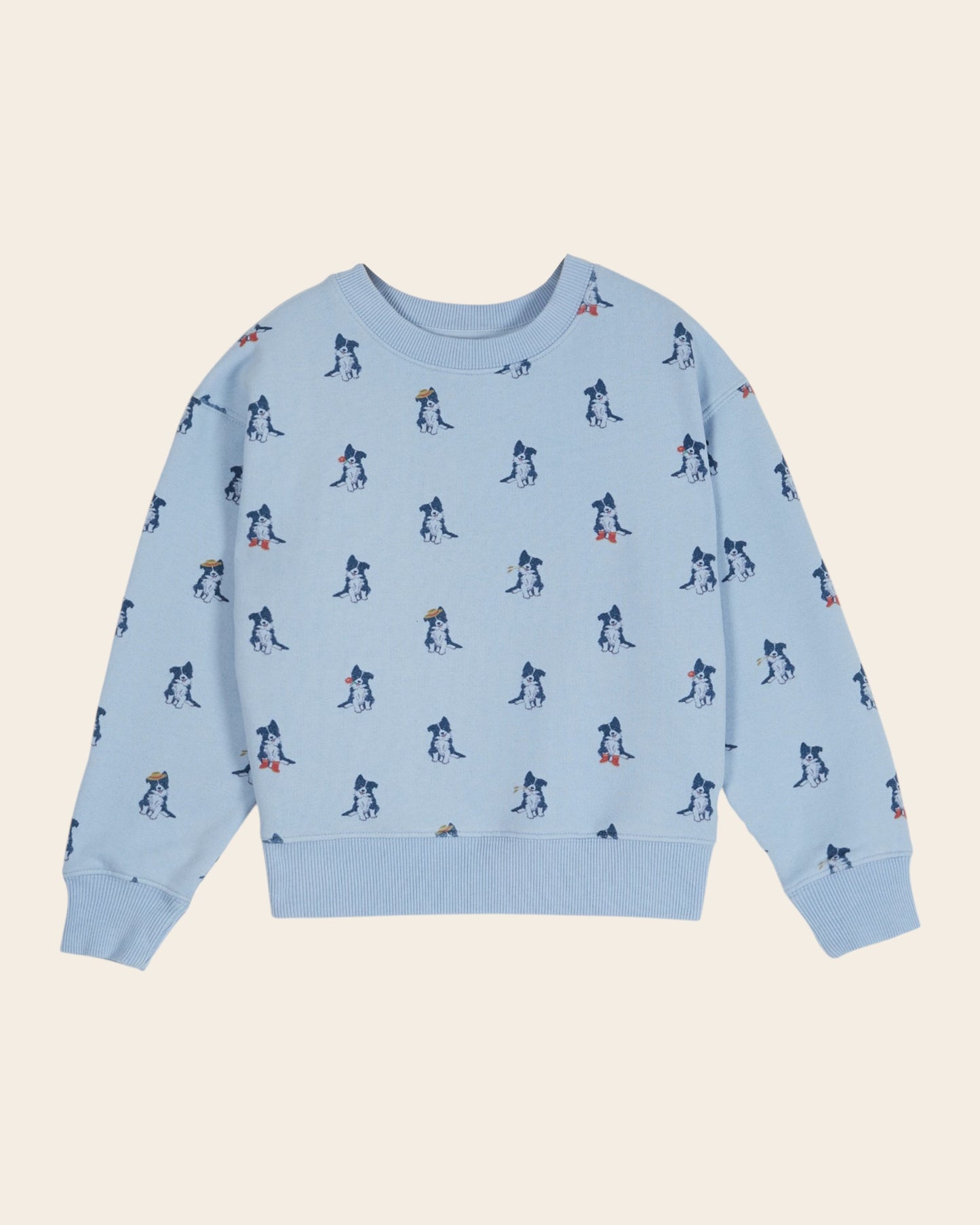 Sweat - Border collie ciel