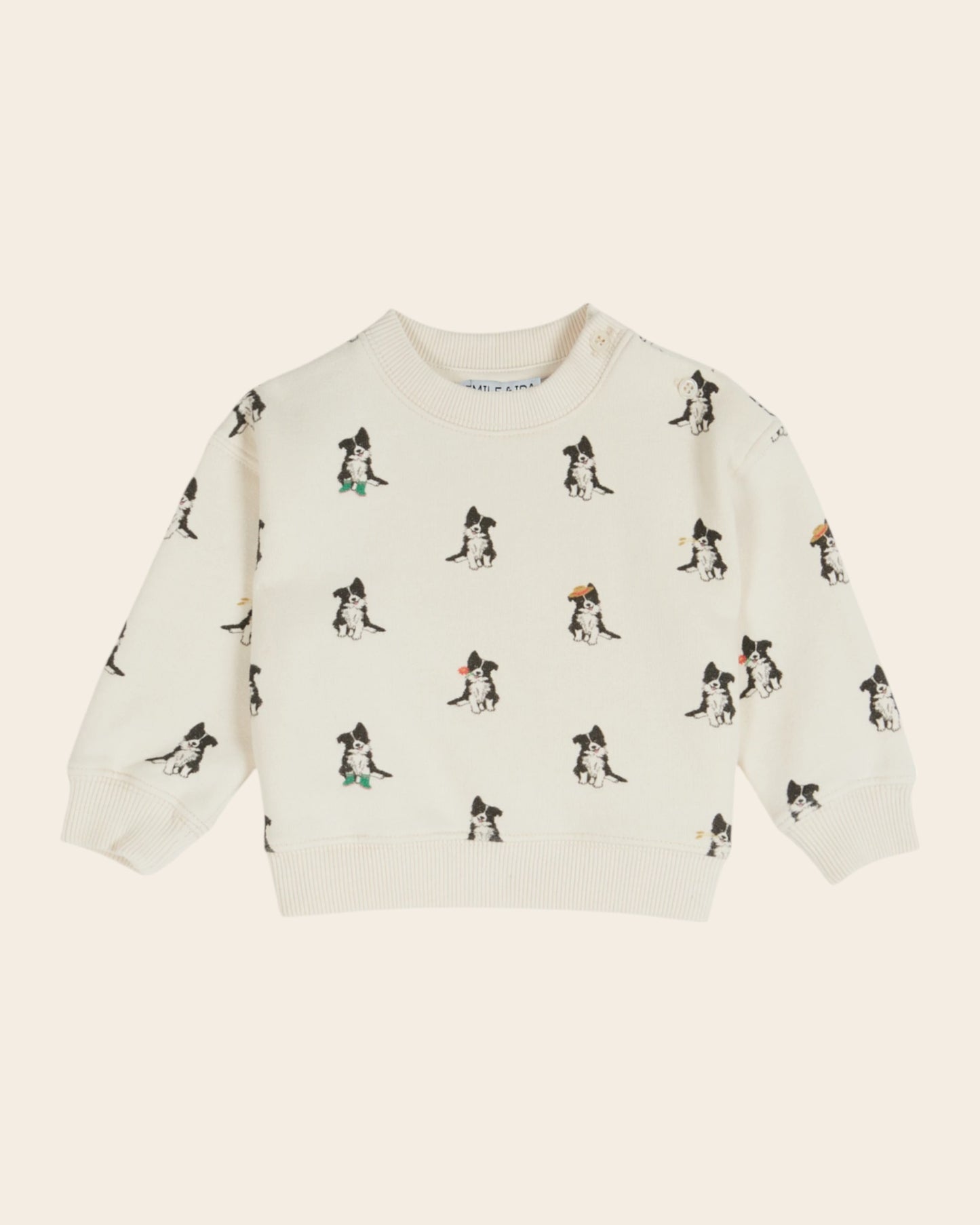 Sweat - Border collie crème