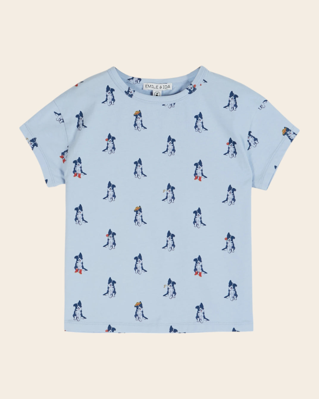 T-shirt - Border collie ciel