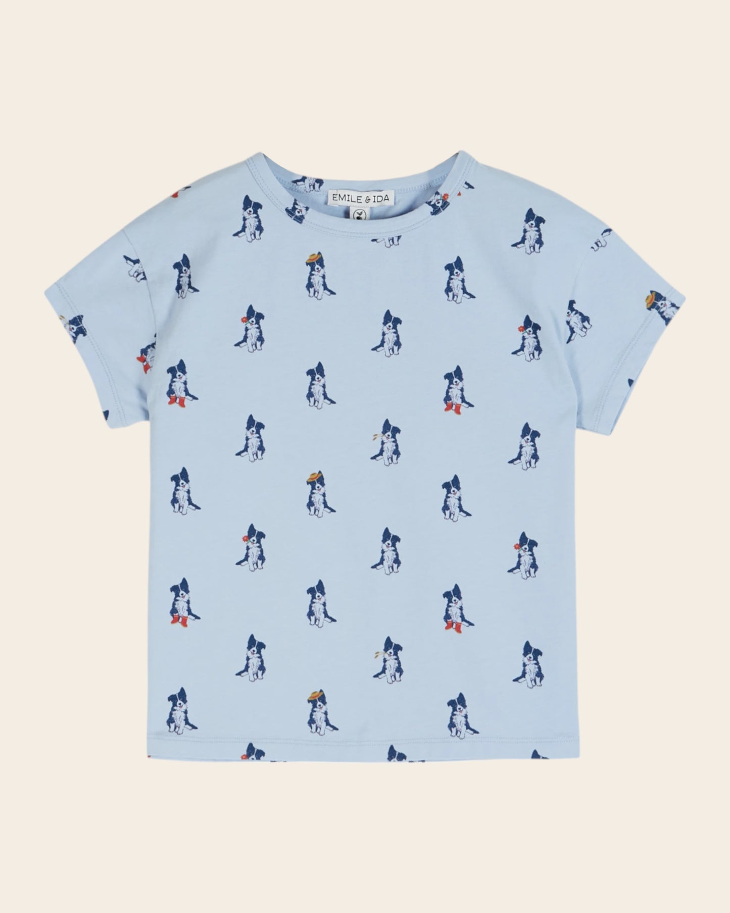 T-shirt - Border collie ciel